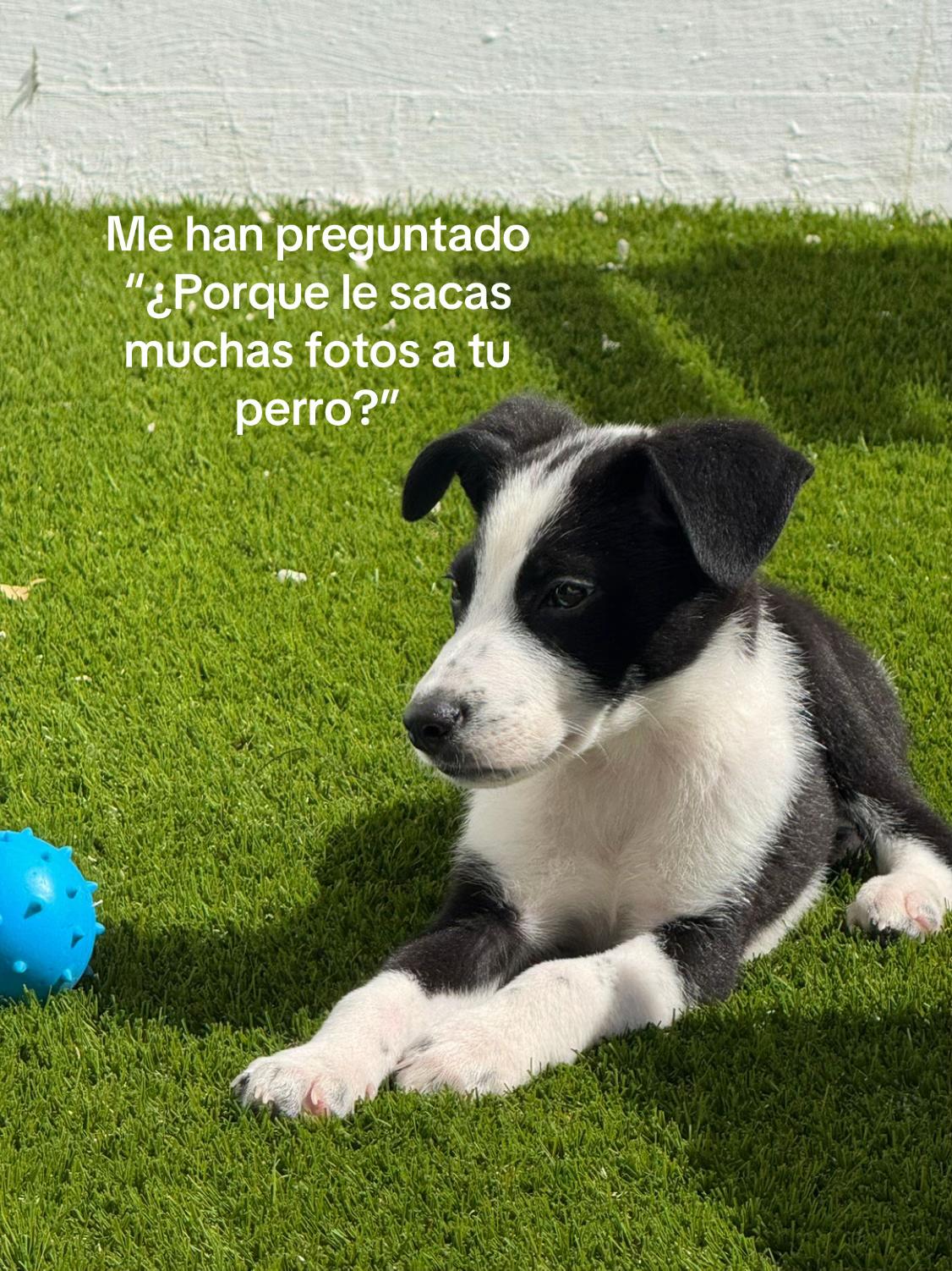 @Dime M&eacute;ndez
