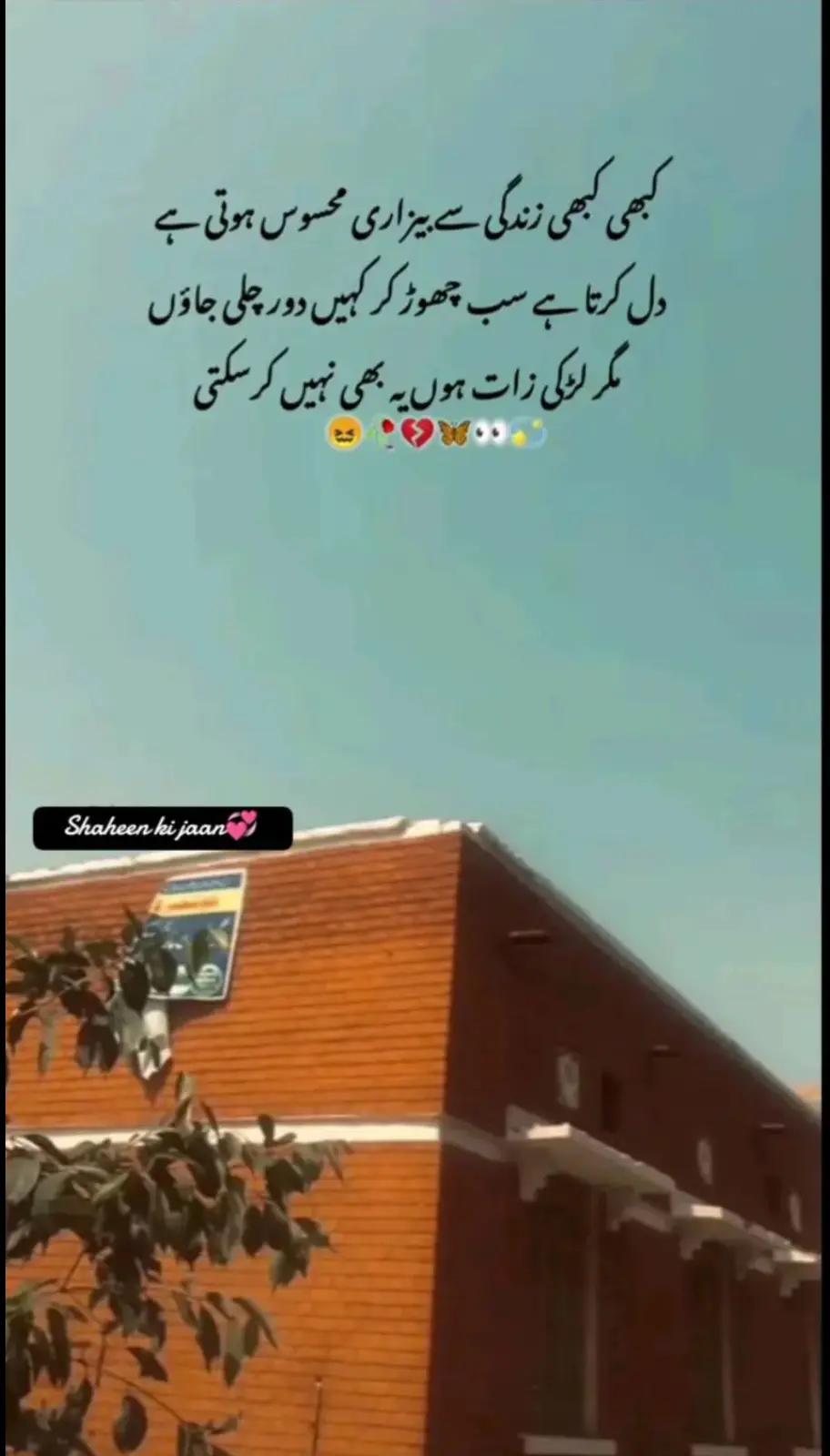 @اِختتامِ محبت ❤️🩹🩹💔