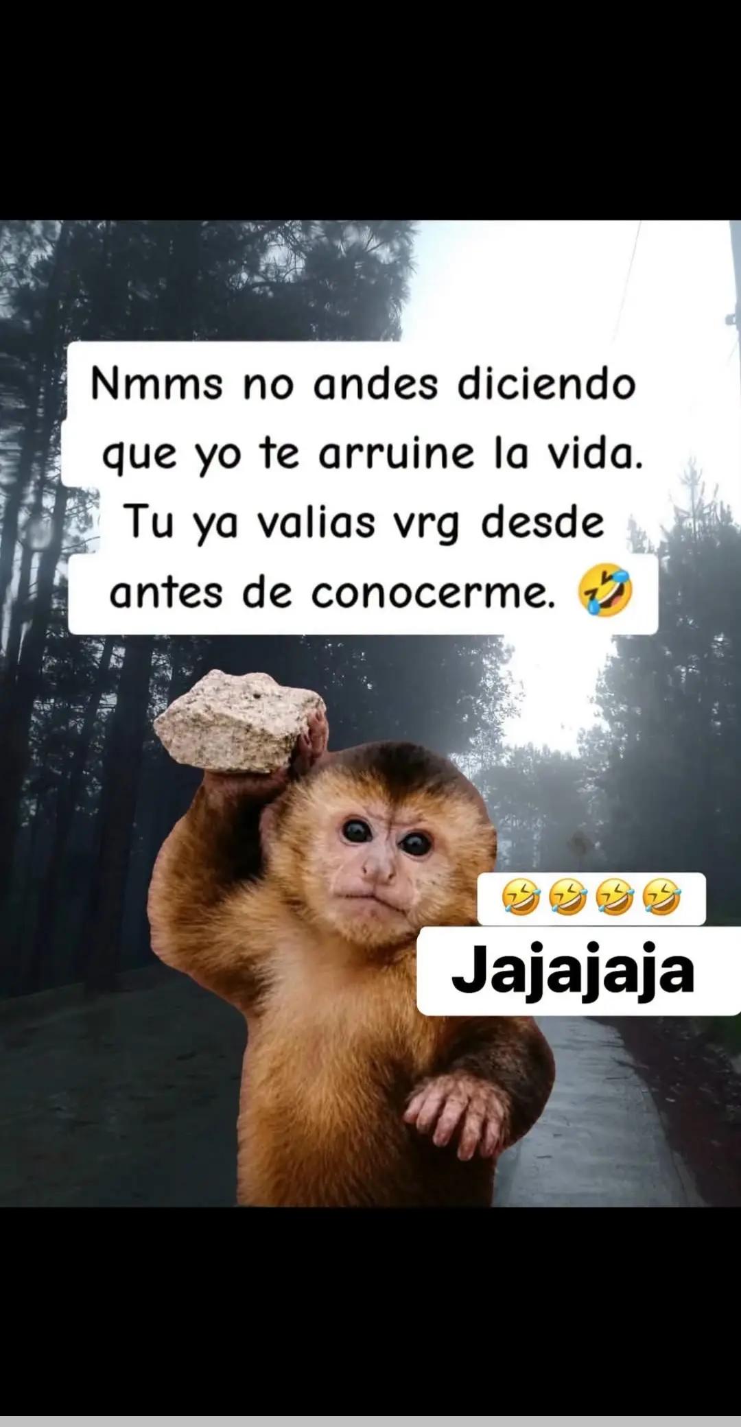 @LUZDELUNA3080