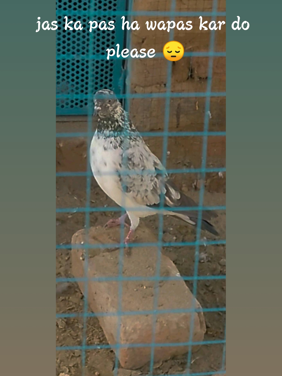 @꧁༒LADLA BALOCH ༒꧂