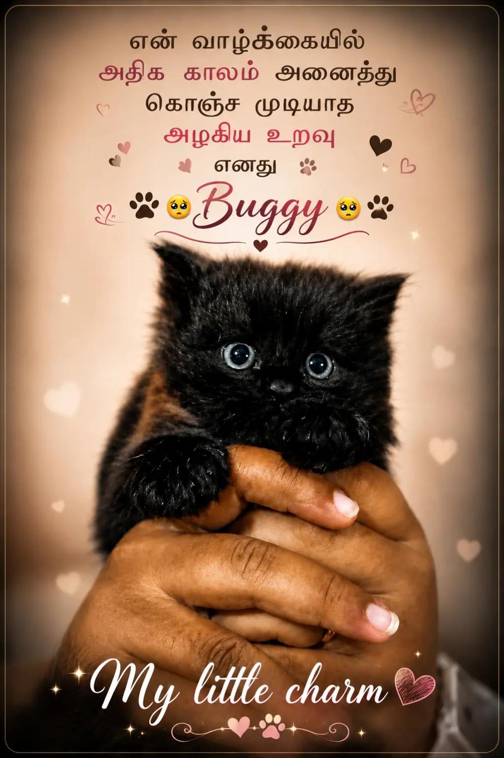 @𝗣𝗥𝗜𝗬𝗔𝗗𝗛𝗔𝗥𝗦𝗛𝗔𝗡𝗜