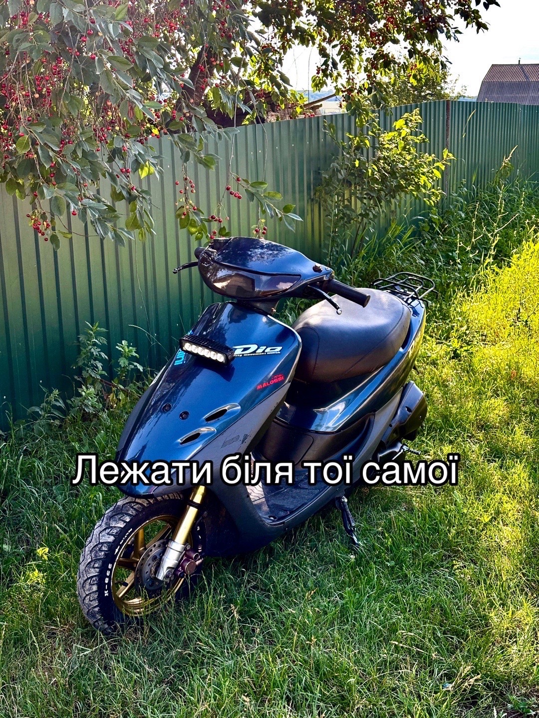 @Максим