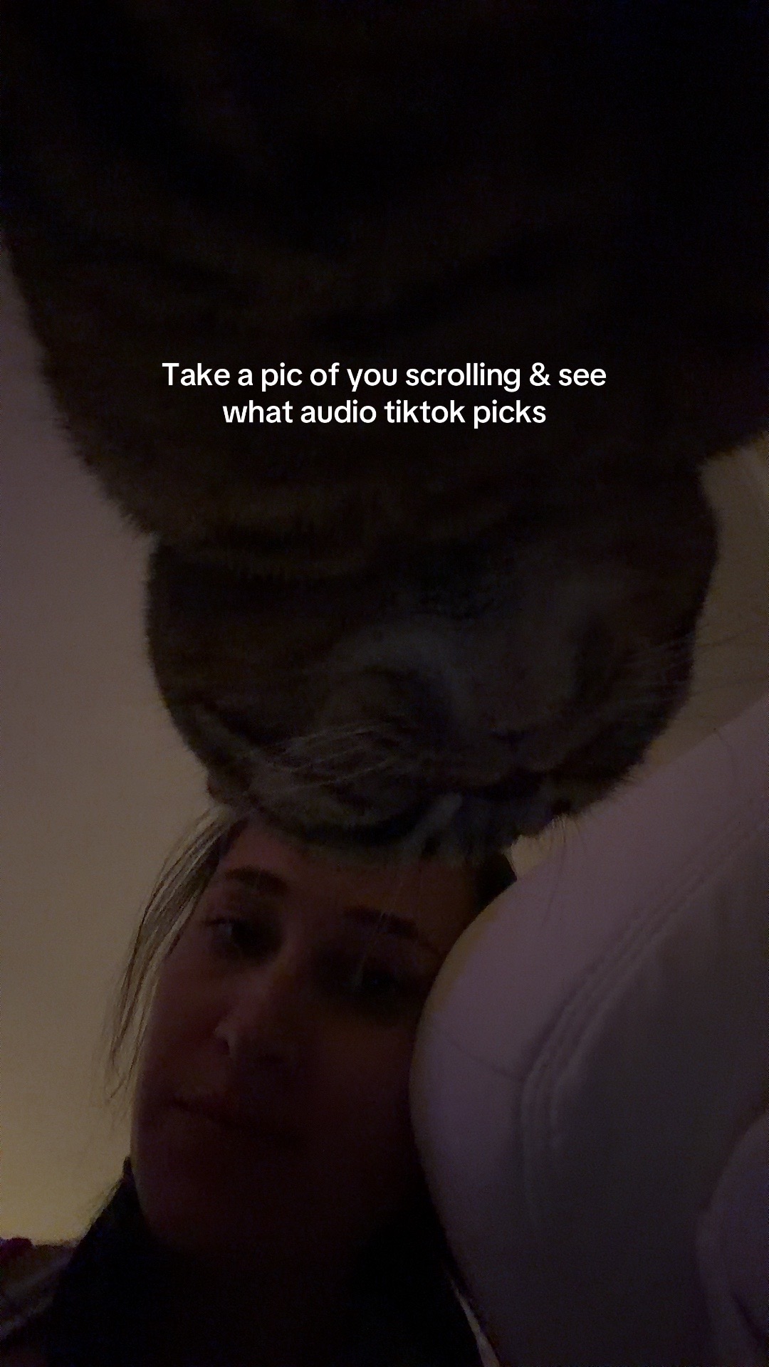 @Tate Brody