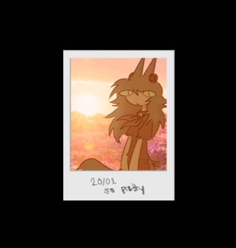 @Bunny