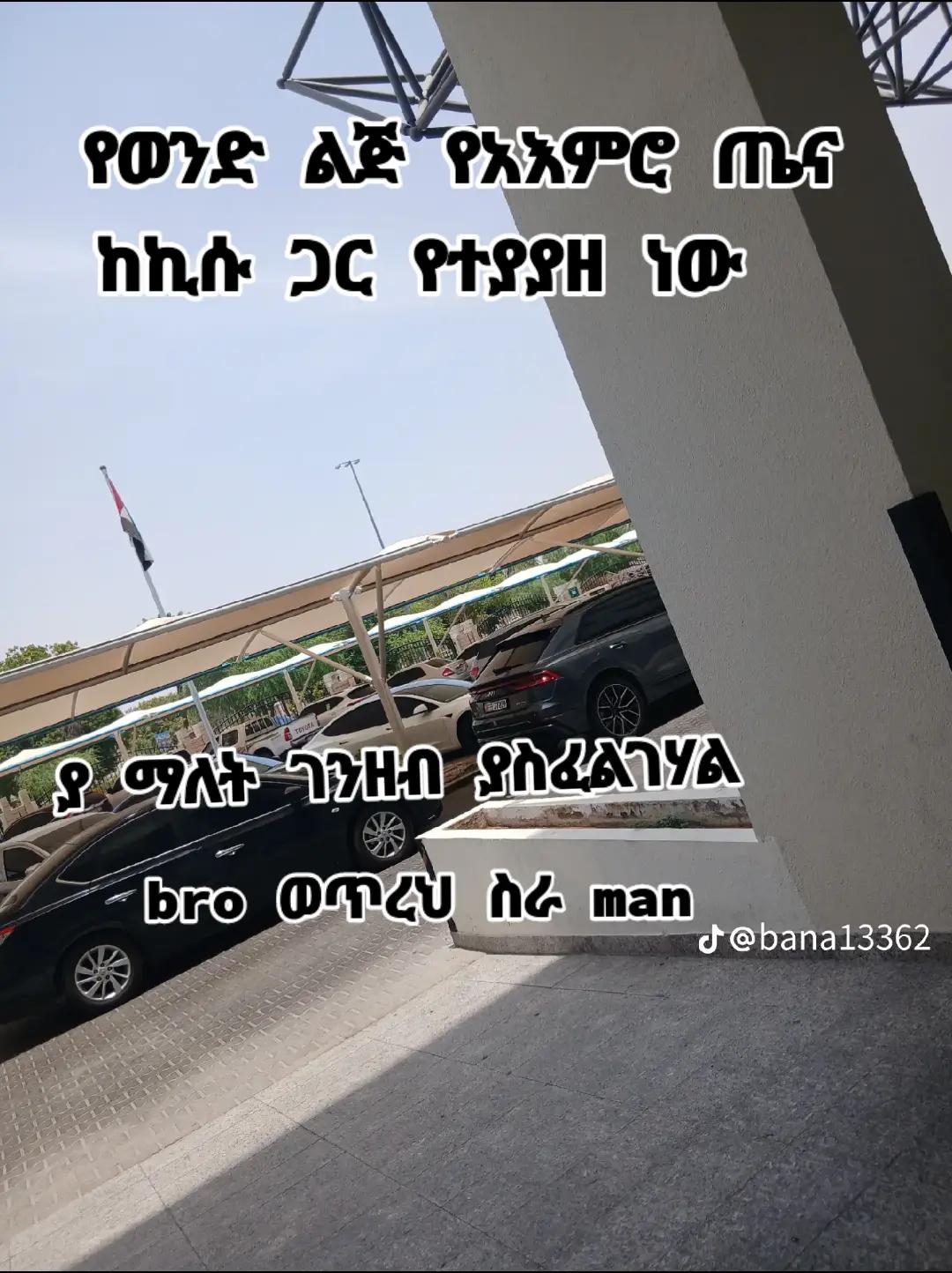 @mister Tofik