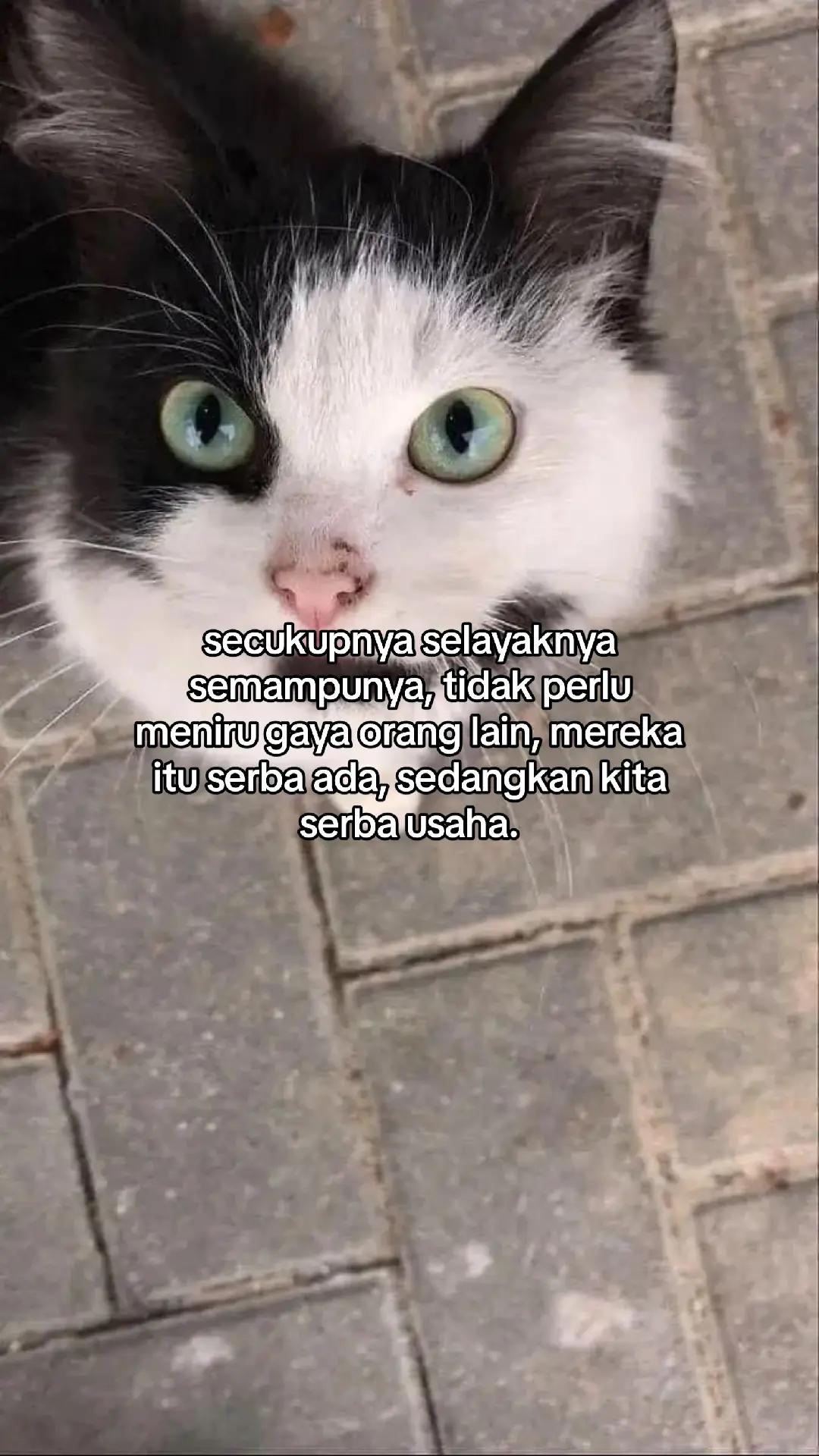 @wisnu23