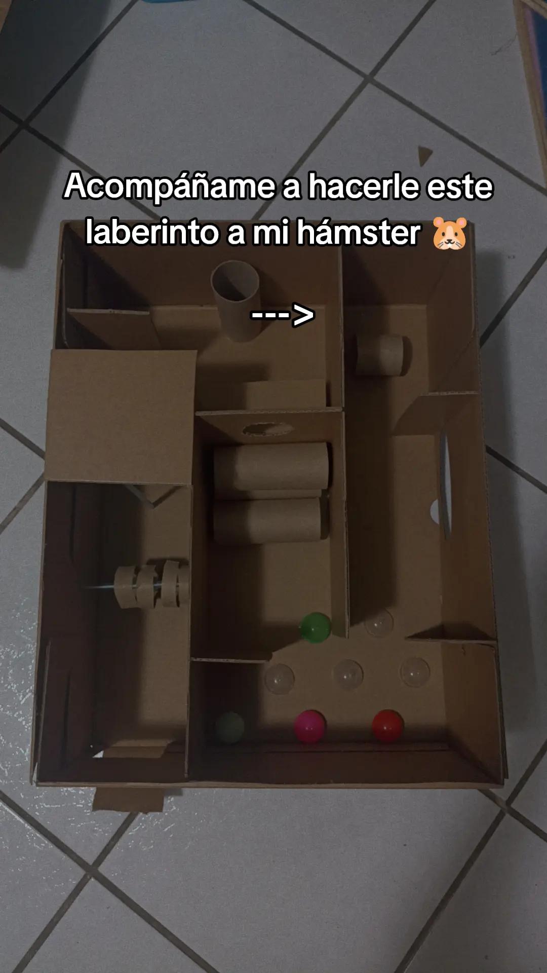 @Diariodeunhamster❤️🐹