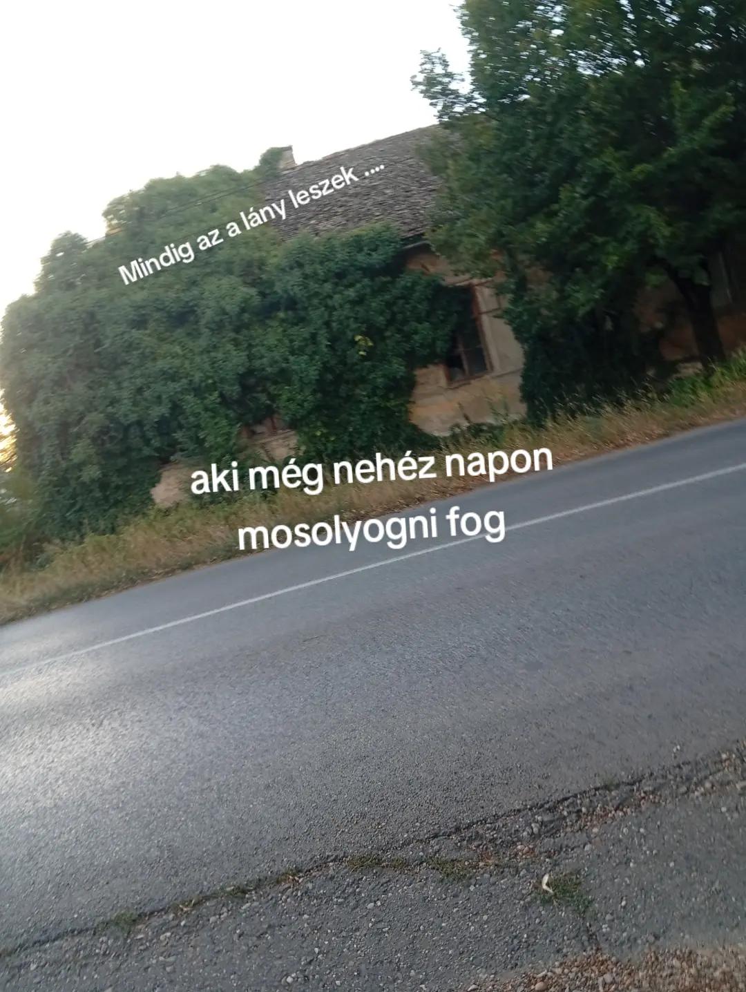@D&oacute;ri.boo🐻