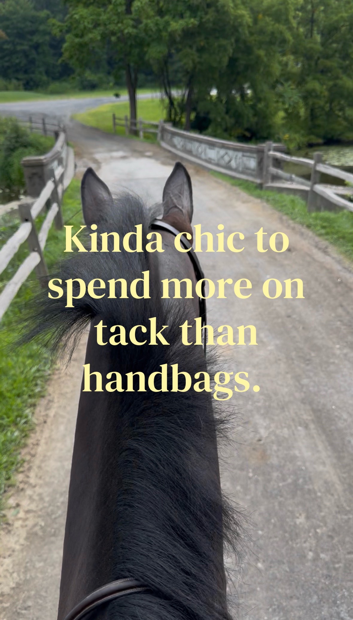 @Equestrian |🦄 Mom