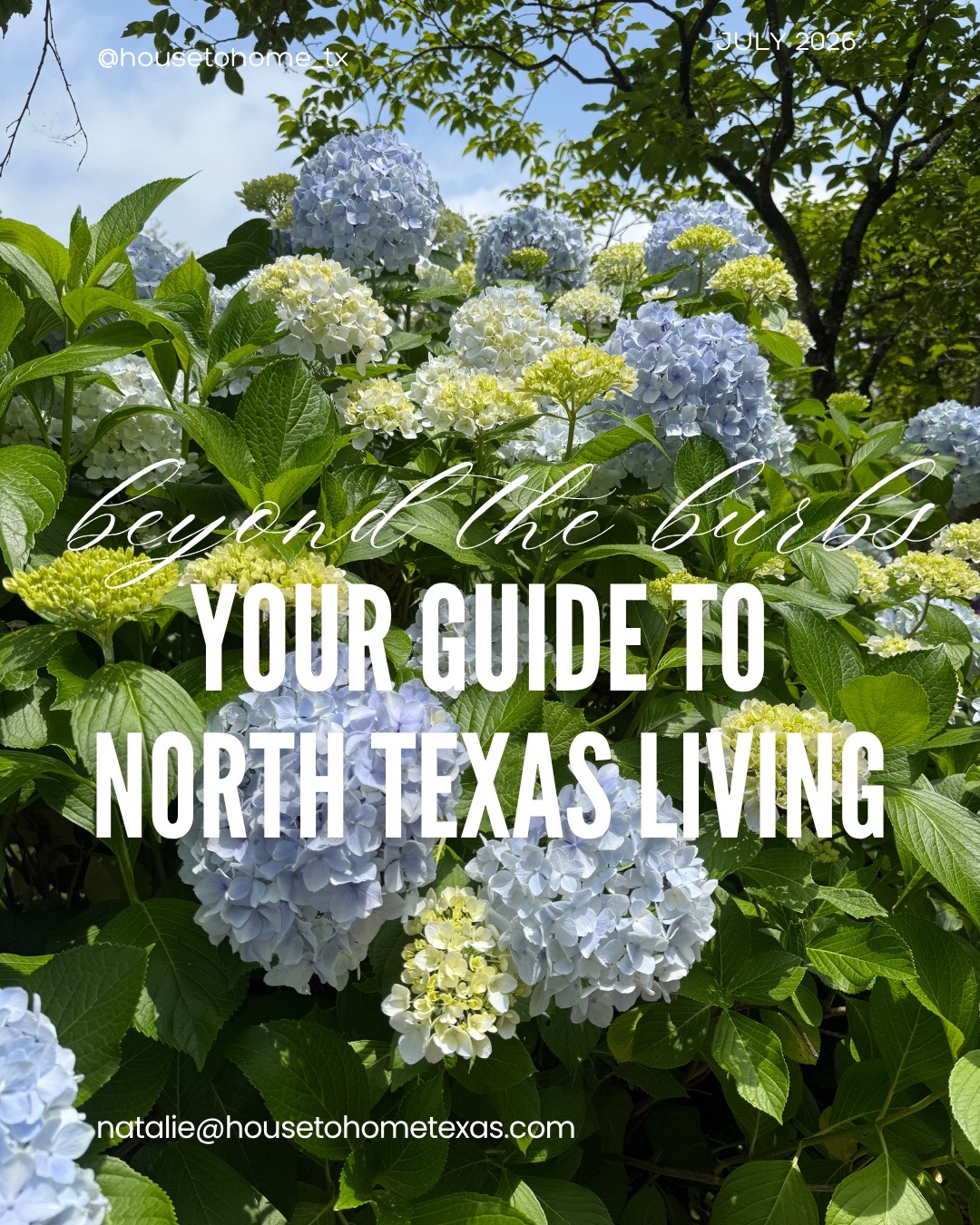 @Natalie Schock | DFW REALTOR®️