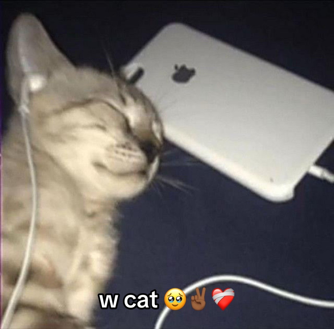 @๐ซ๐ป๐ธ๐ผ๐ด๐ฒ ๐ซฉโ๐พ