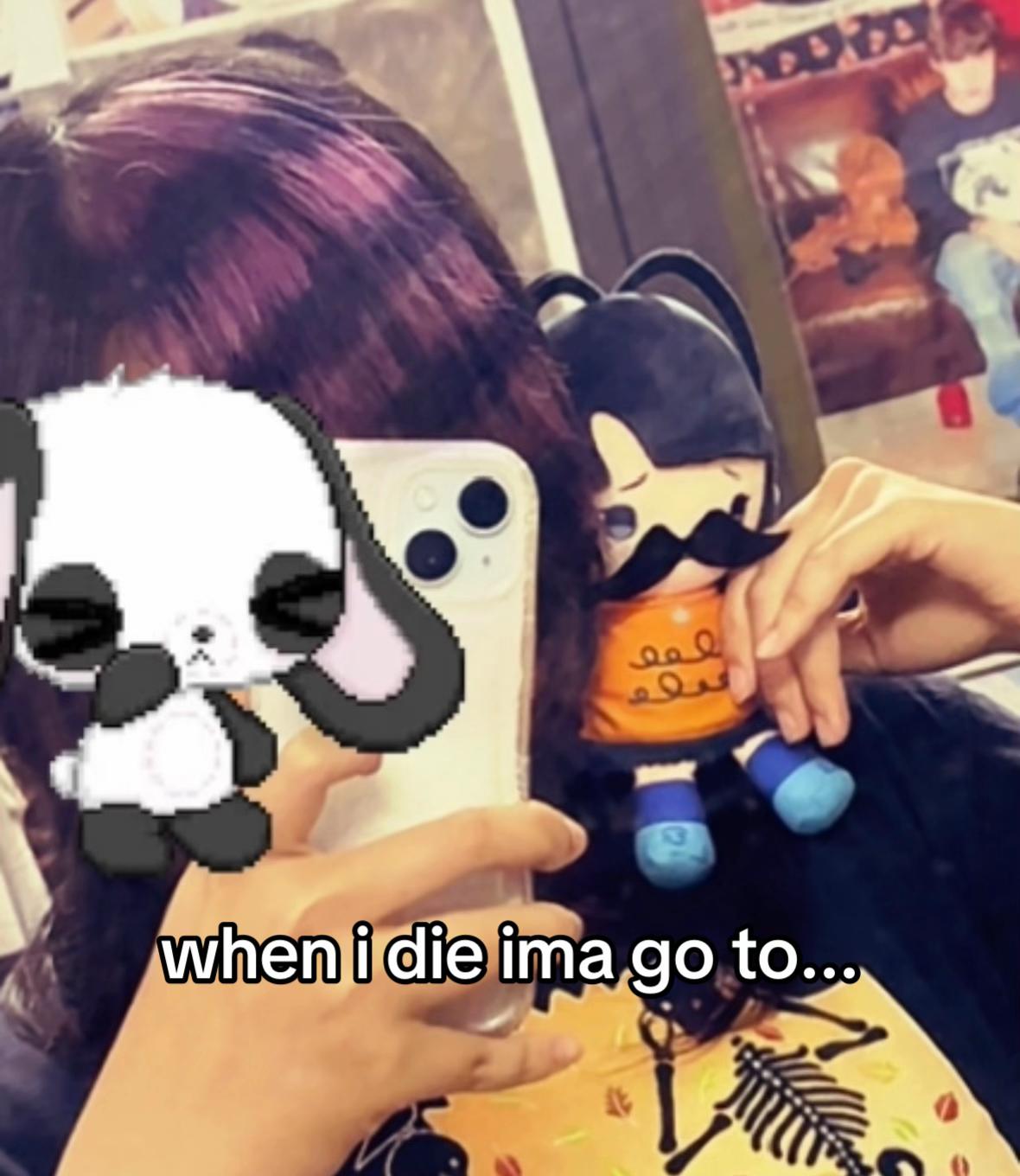 @tofu