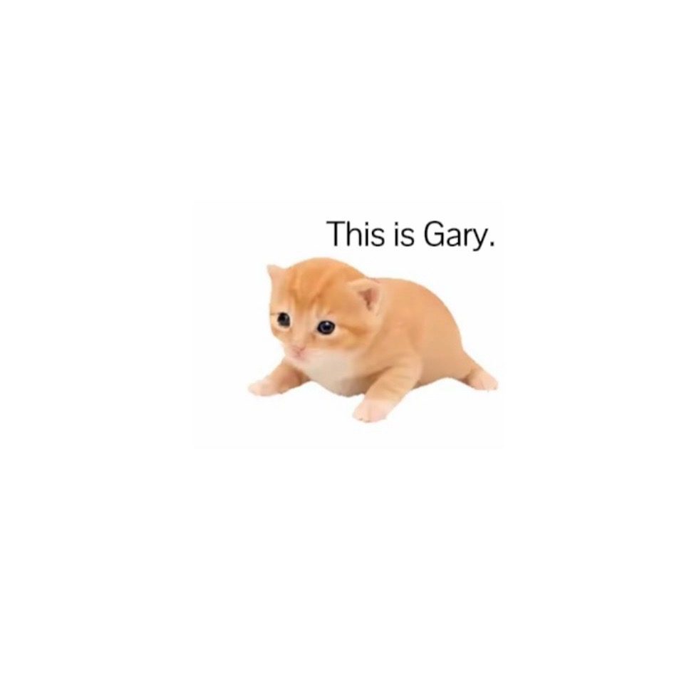 @𝙲𝙰𝙼𝙼™