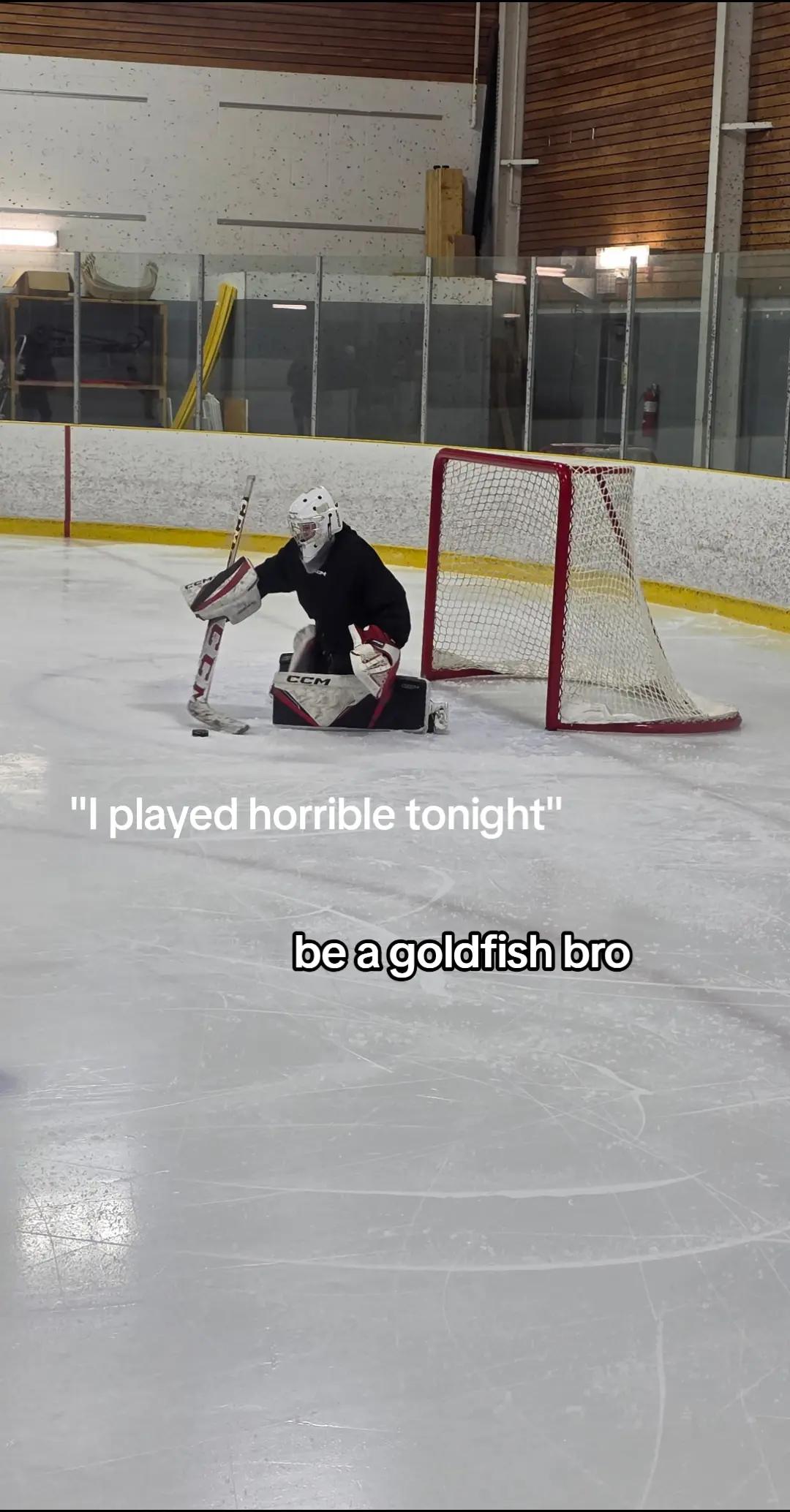 @tiktokgoalie 2.0
