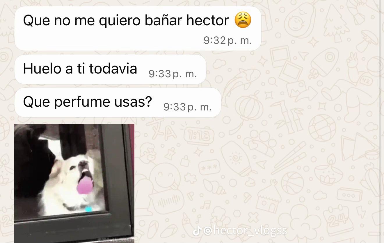 @Héctor