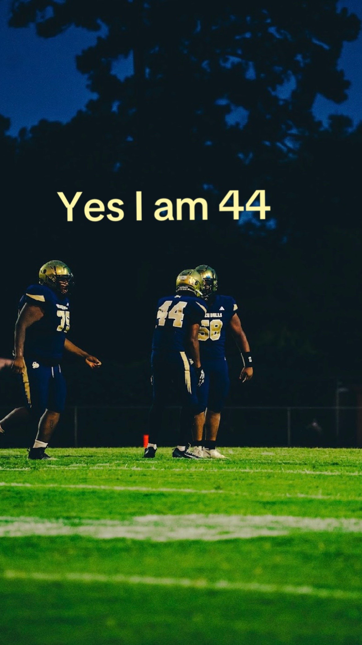 @d1_Kb