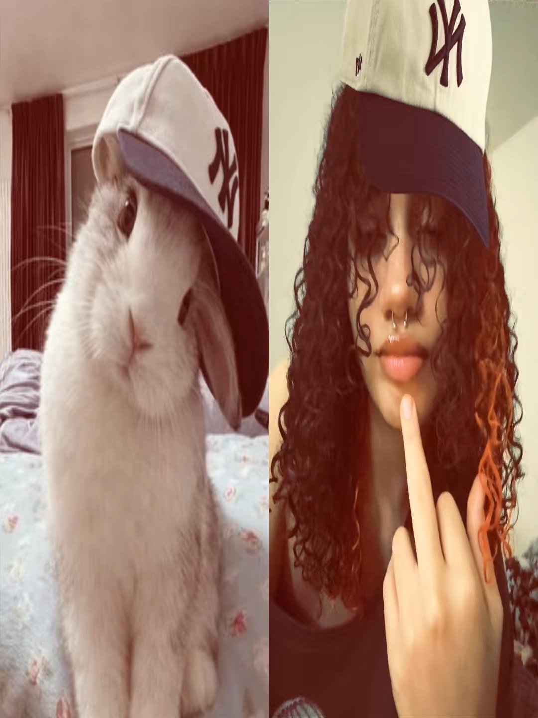 @nachi 🪼