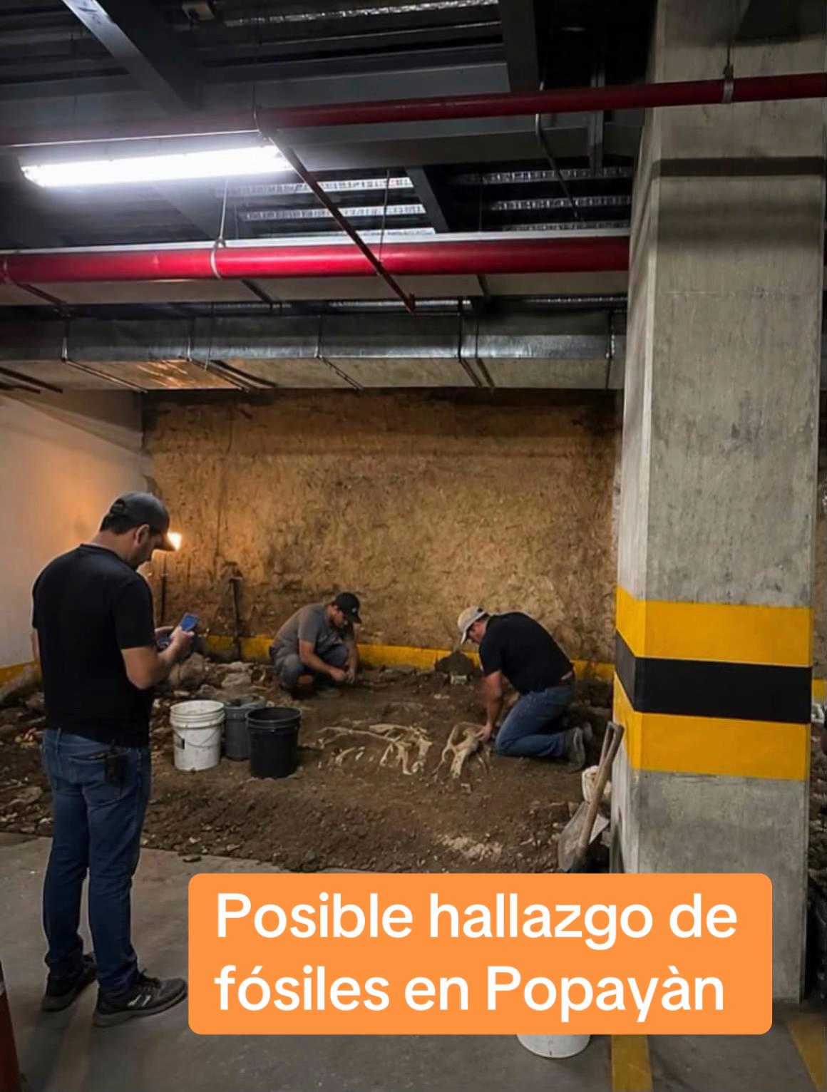 @ENLAVIAnoticias