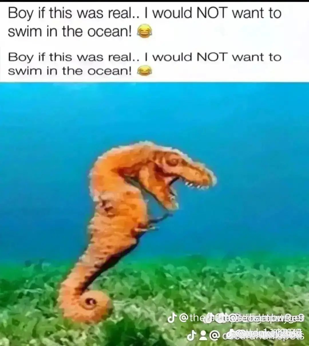 @ell