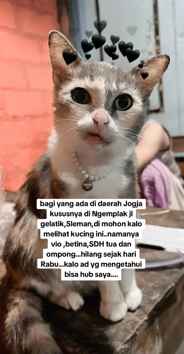 @Rastymelindashop