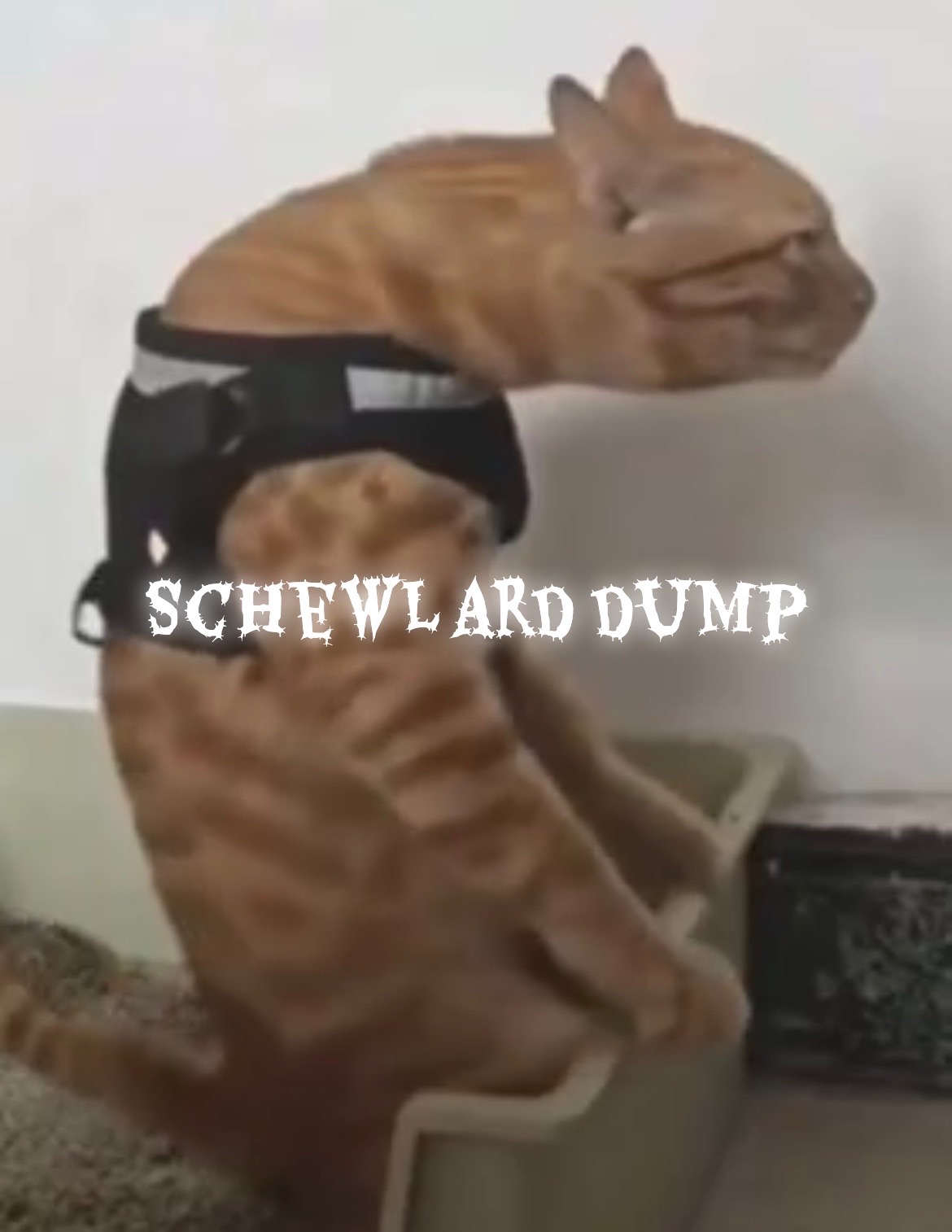@ken