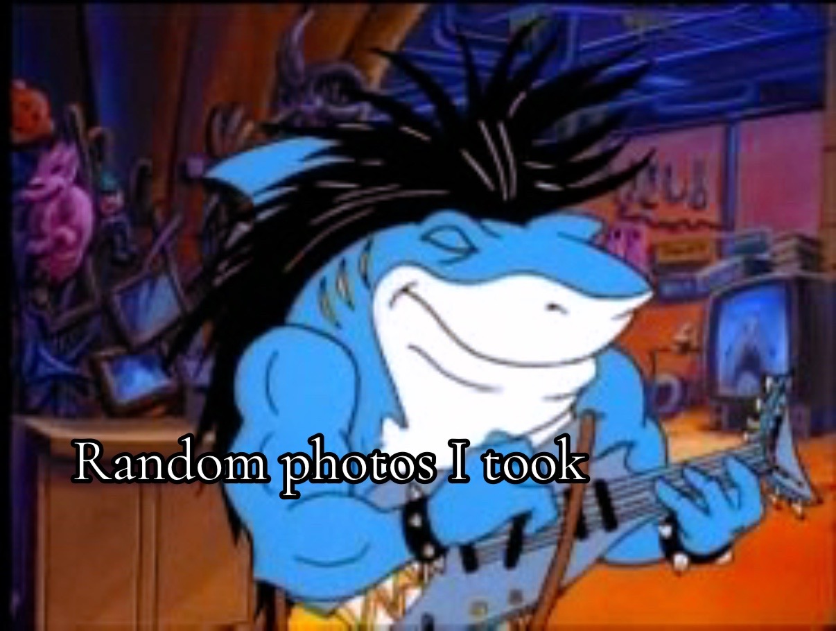 @the_sonic_collector132