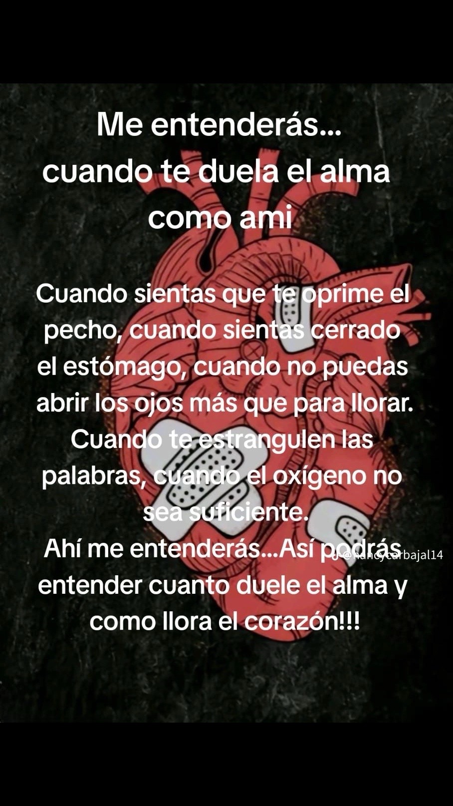 @dulceestrada545