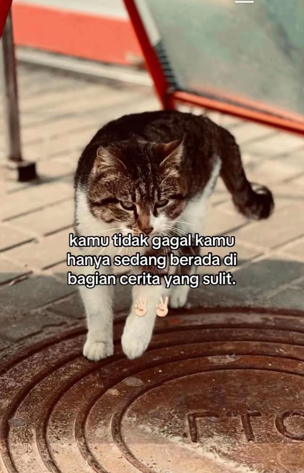@INDRA SM💫⚡️