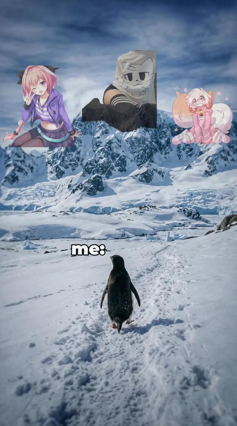 @nani