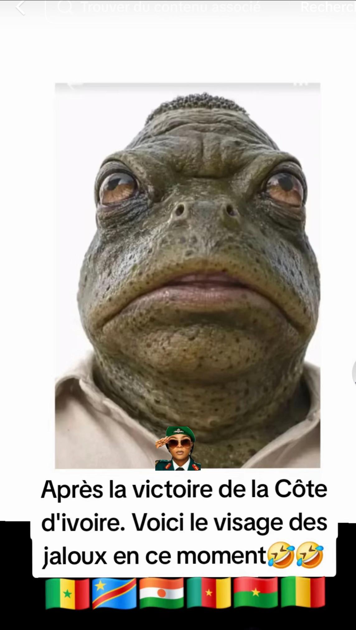 @Ya-pas-chien🐕-Ya-pas-chat🐈