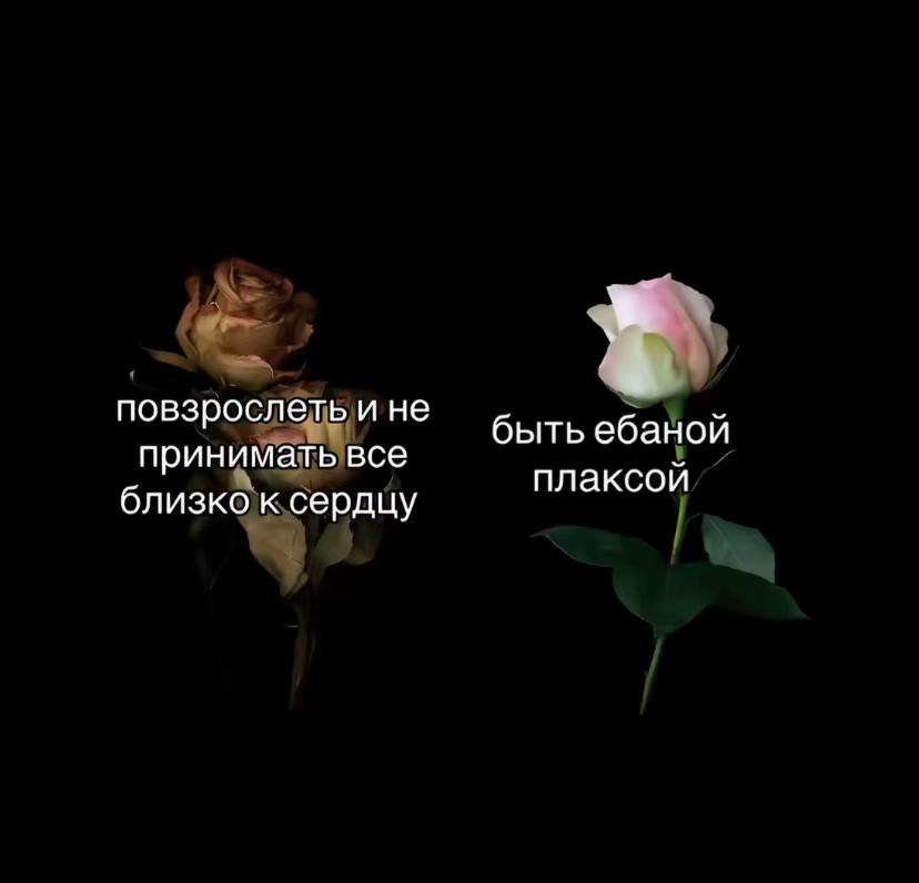 @alaaska12