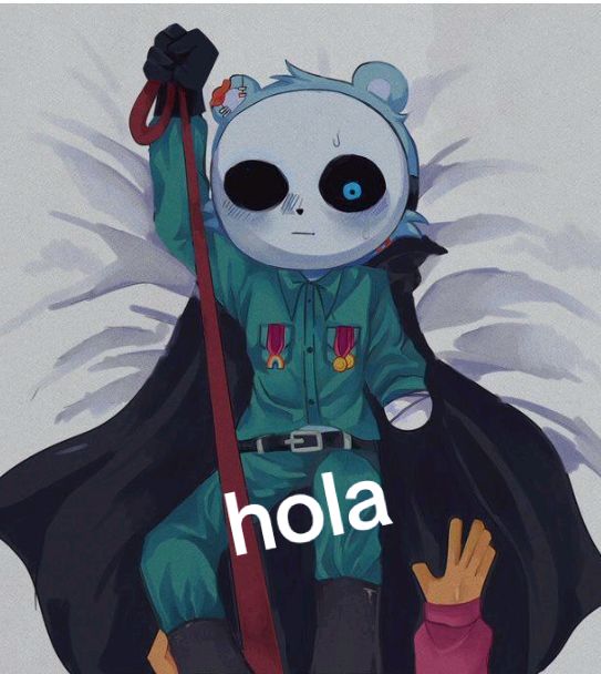 @cabo_pon_pon_1000