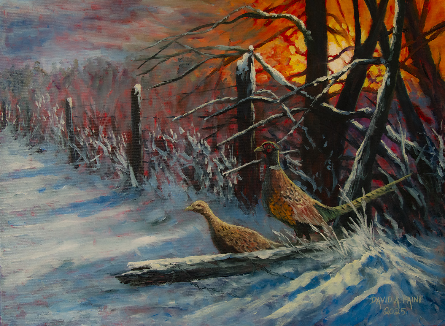 @The Art of David A Paine