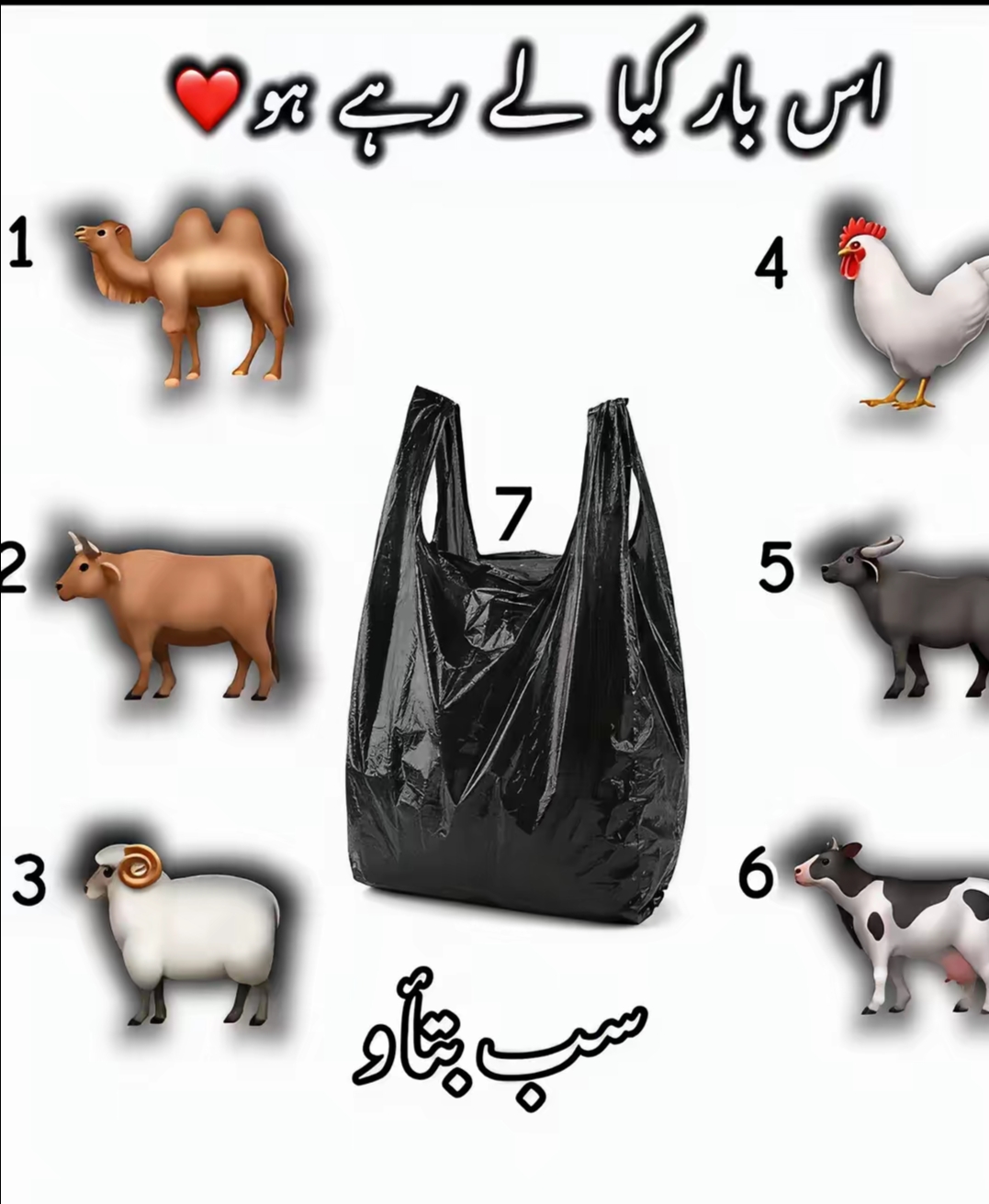 @alisial110