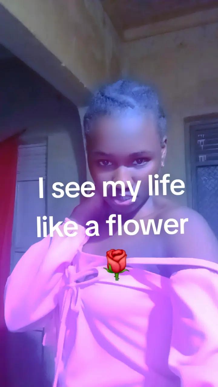 @🦋🦋Jacintah 🦋🦋