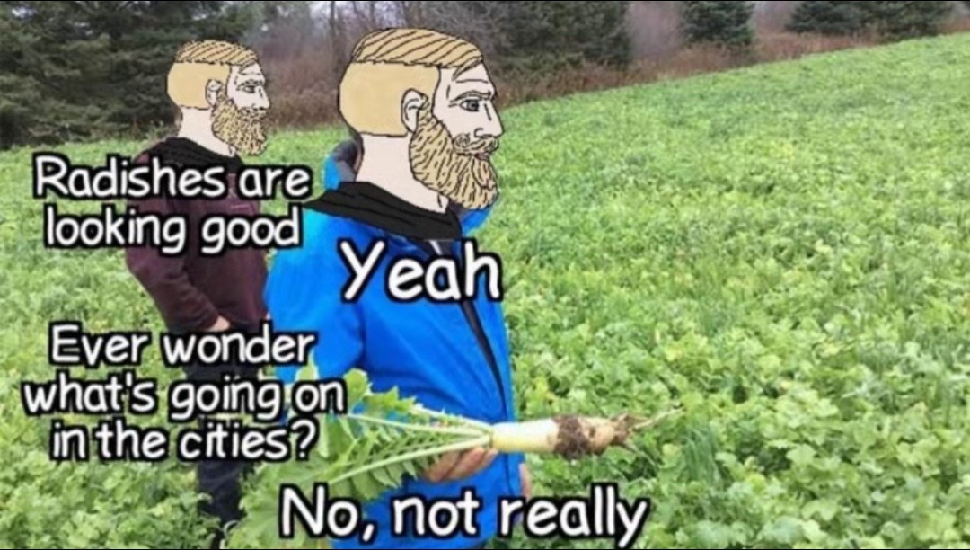 @☦︎ 🌲