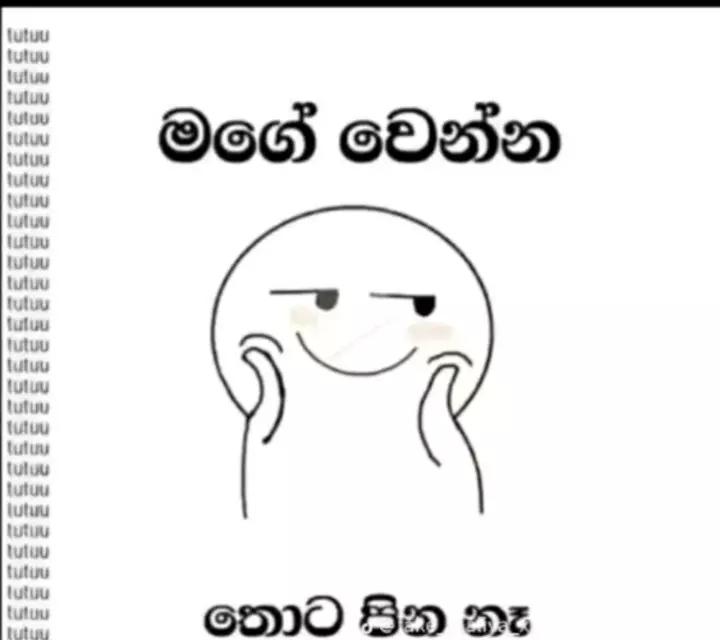 @___© 𝗦𝗟•°°• 𝗽𝗼𝗱𝗶___