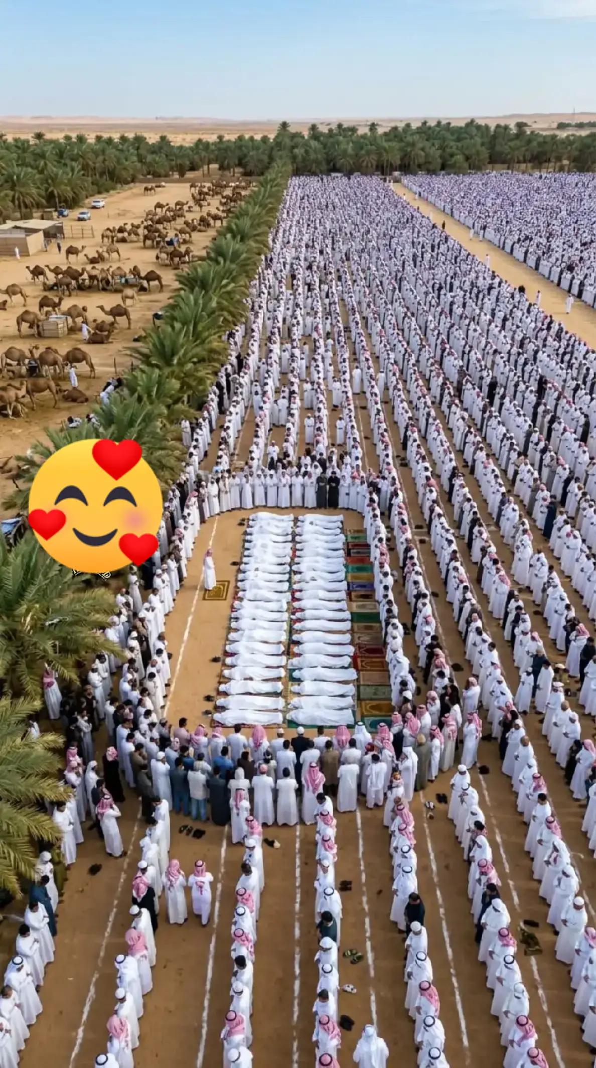 @﷽⍣⃝🌼হে্ঁদা্ঁয়ে্ঁঁতের নূর﷽⍣⃝🌼
