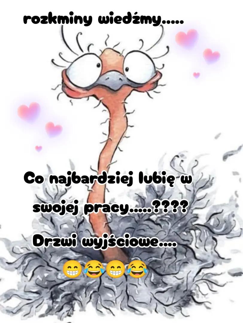@Ewa Jóźwik