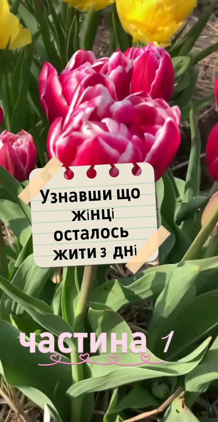 @Життєві історії