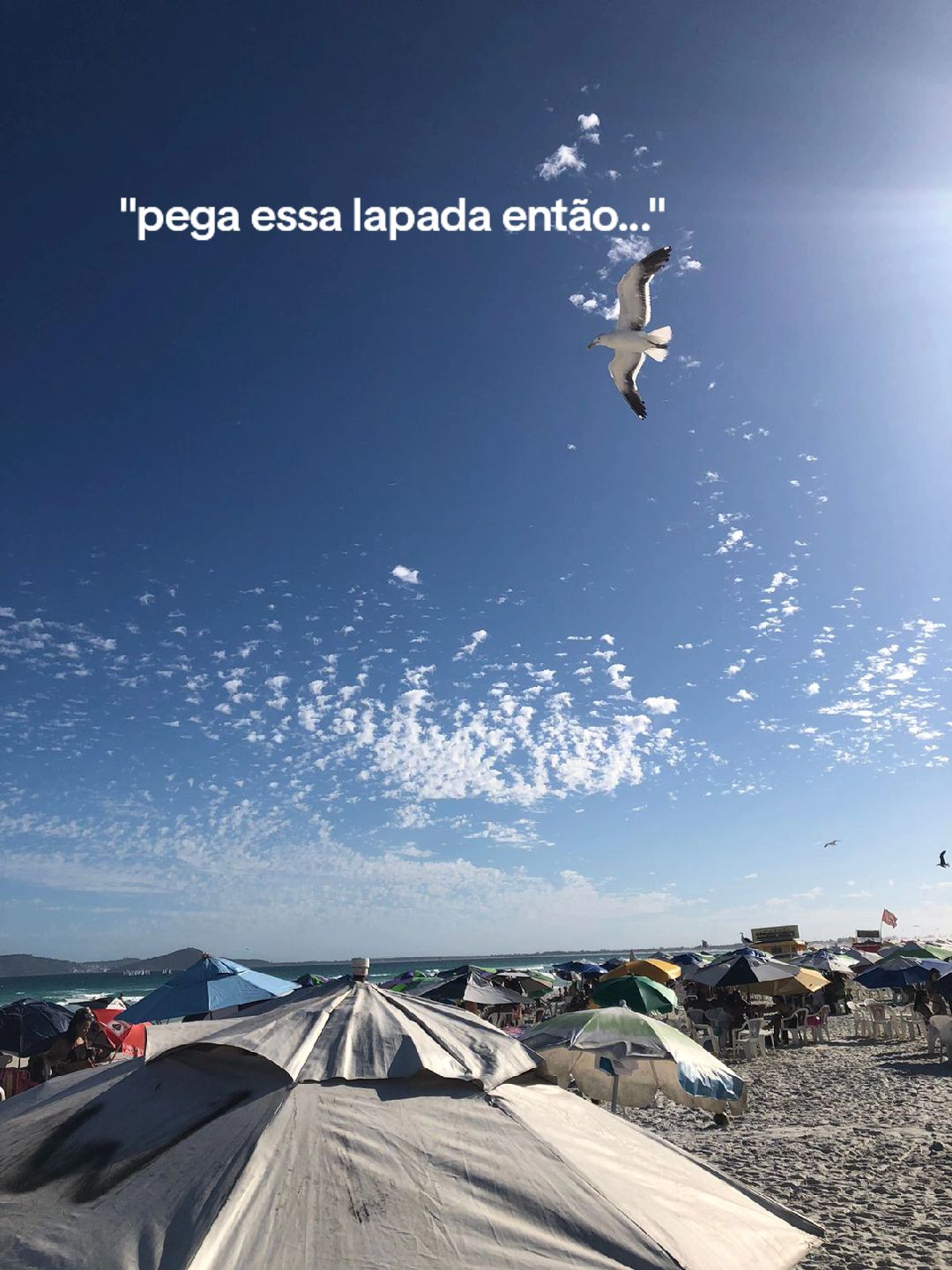 @Marcola