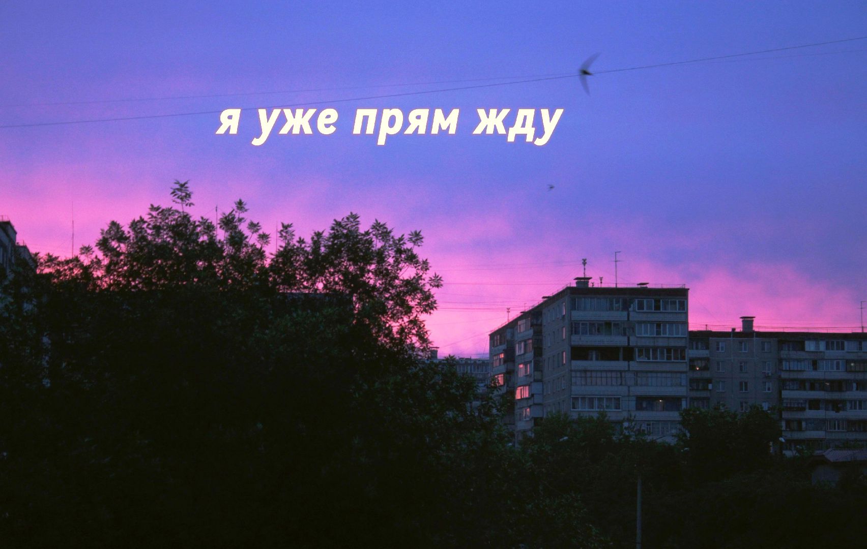 @Ֆǟռʏ🚫