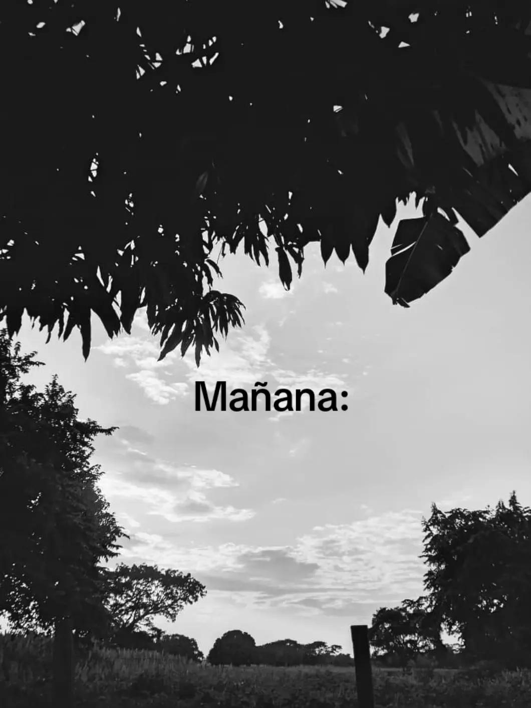 @𝕬𝖑𝖊𝖝𝖆𝖓𝖉𝖊𝖗