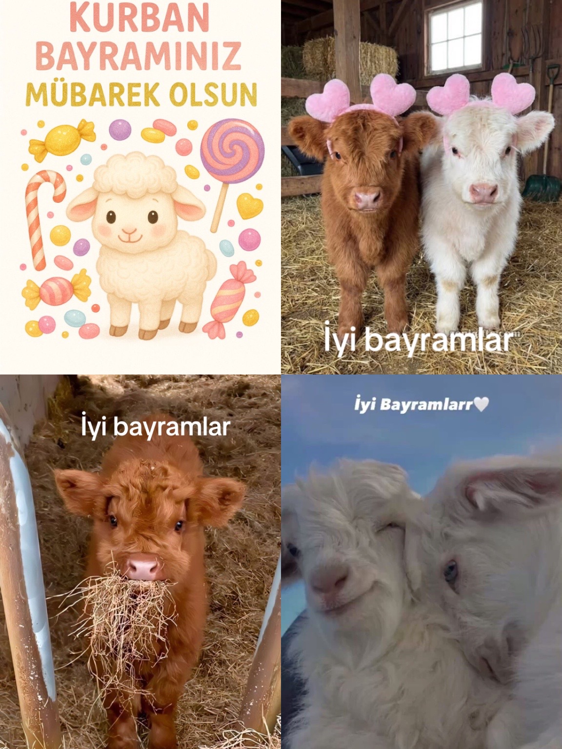 @İsfad