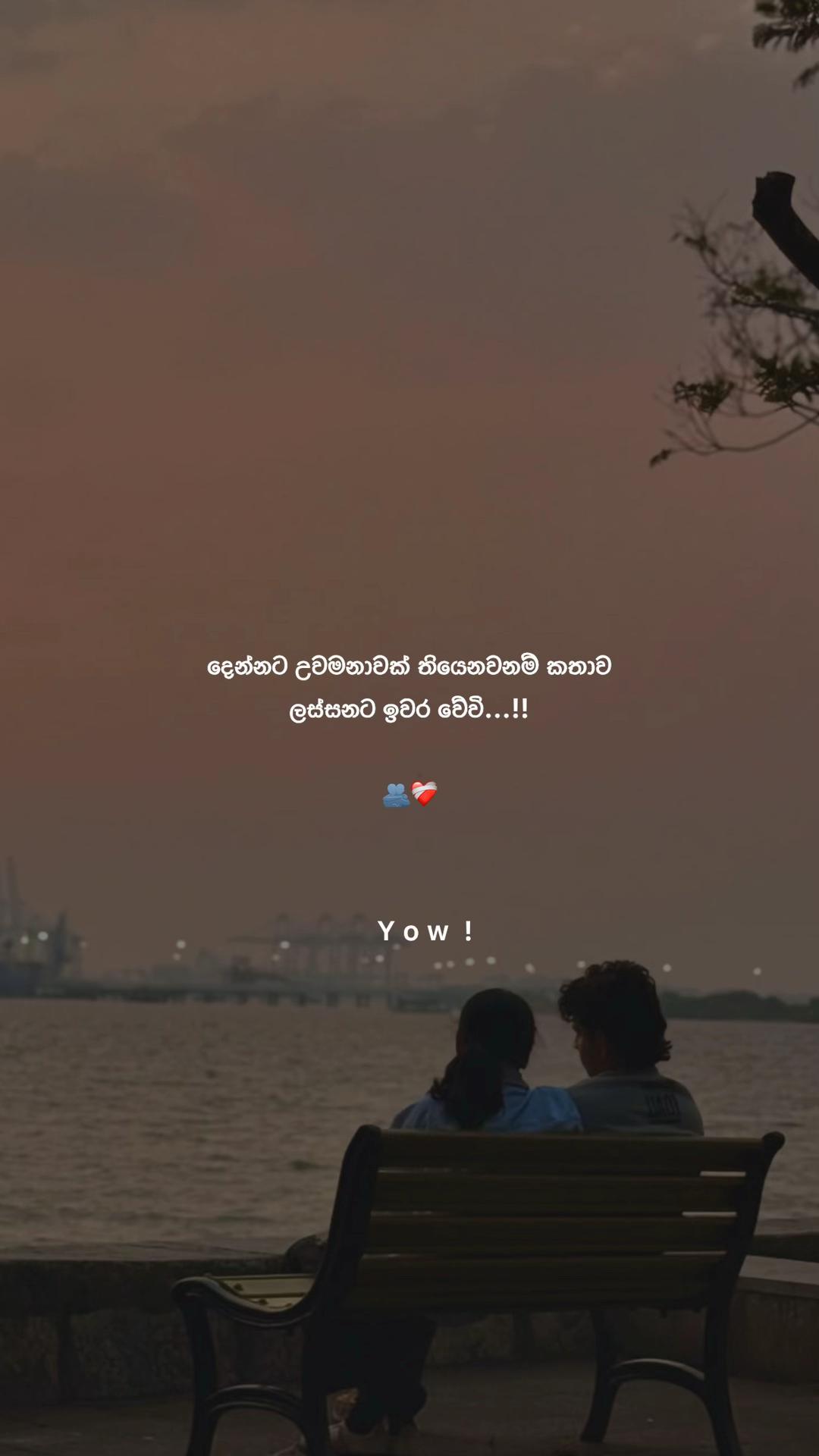 @𝐘 𝐨 𝐰 ☁️ !
