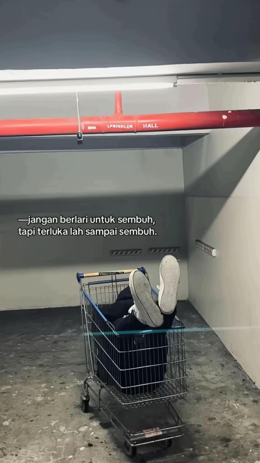 @Ocha__