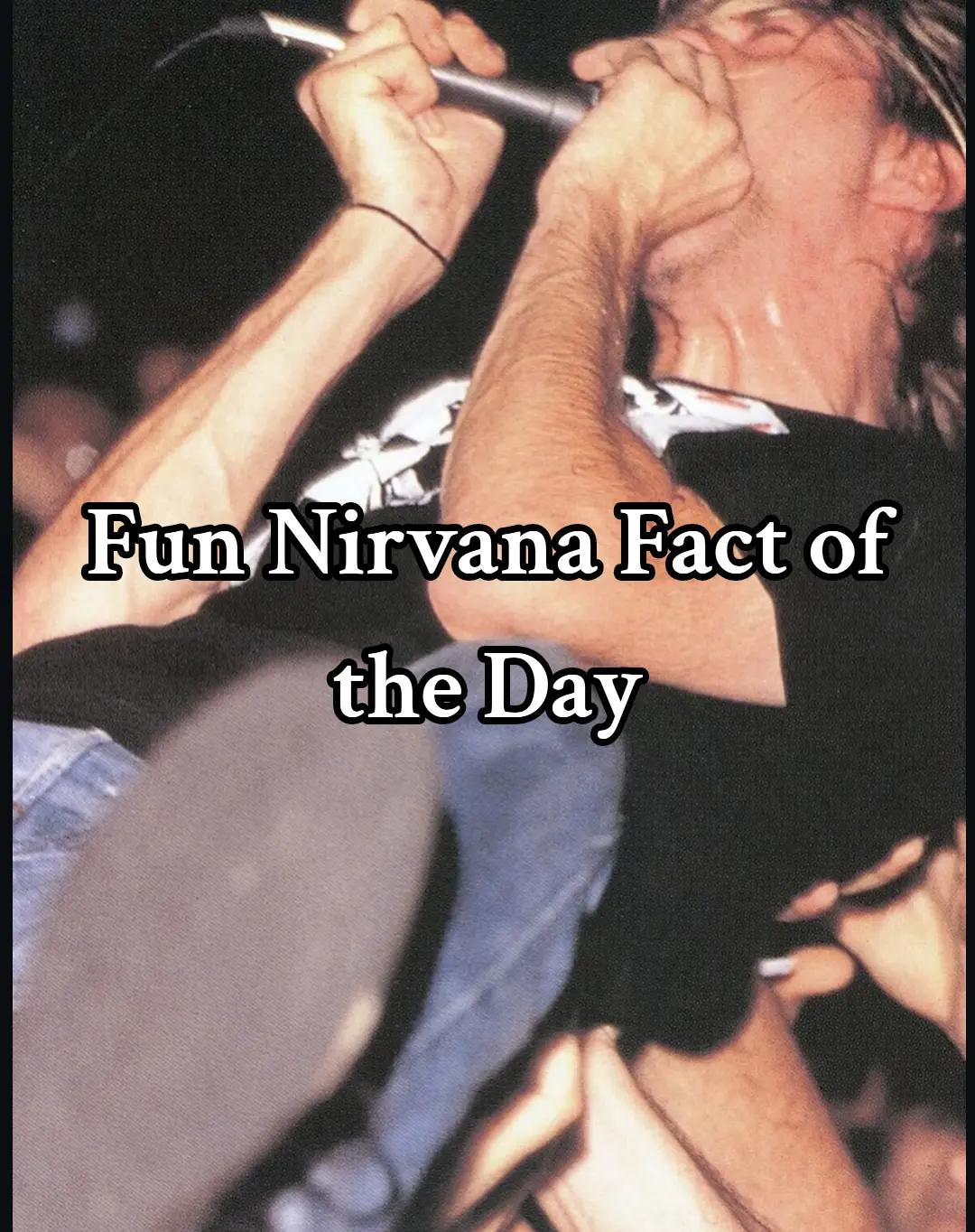 @𝕵𝖆𝒛 🦨🎸 (#1 Nirvana Fan)