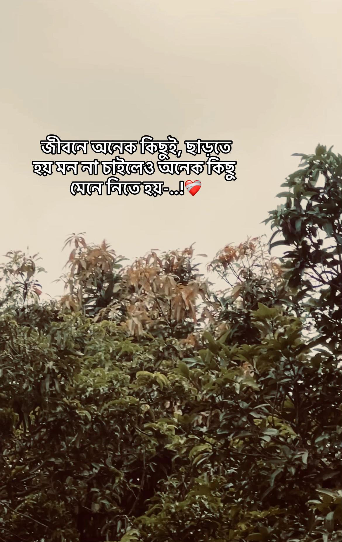 @._𝐌𝐞ꫝ𝐞𝐝𝐢._✨🙋♂️