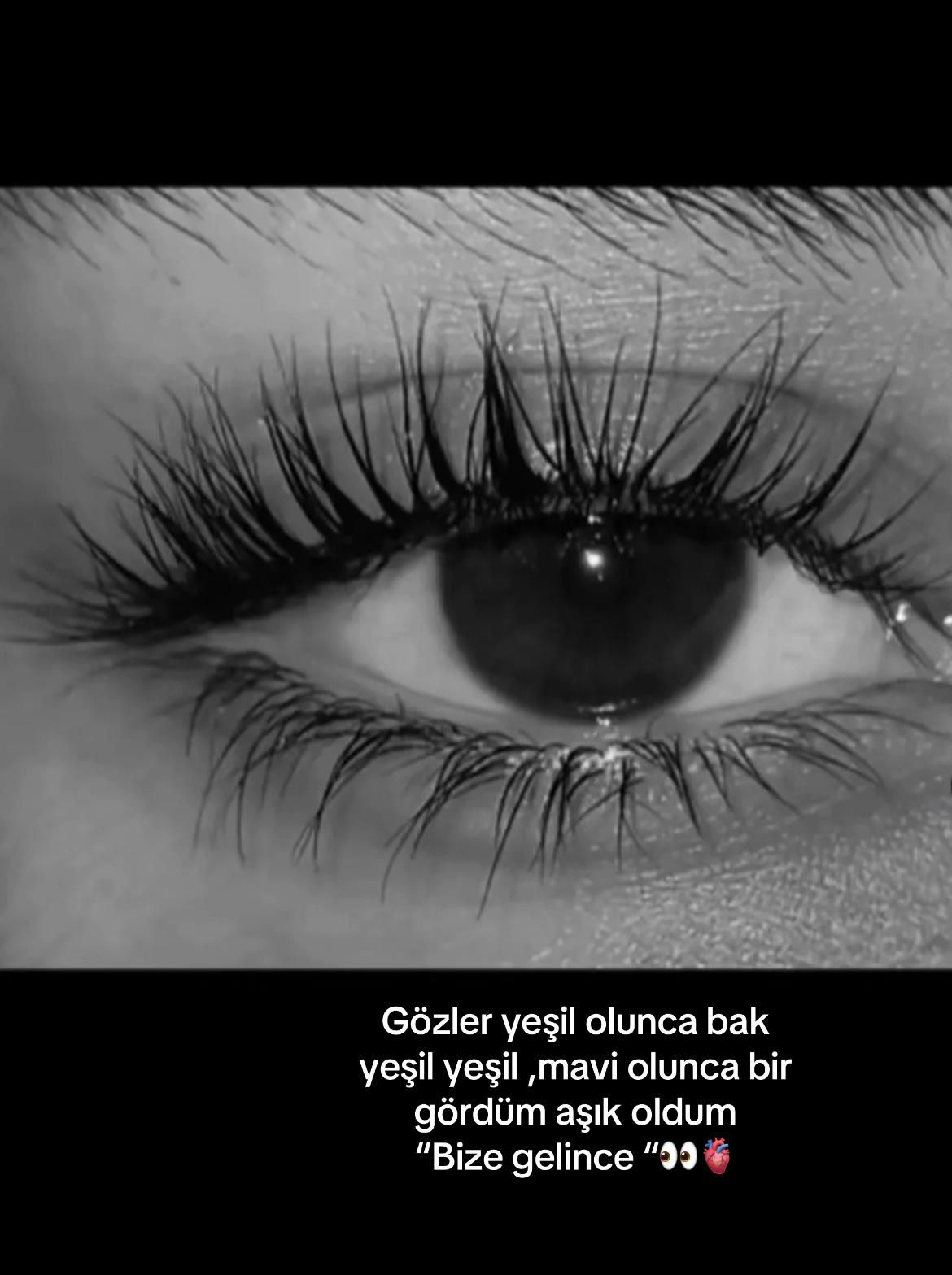@❤️🩹buzlar kraliçesi.35❤️🩹
