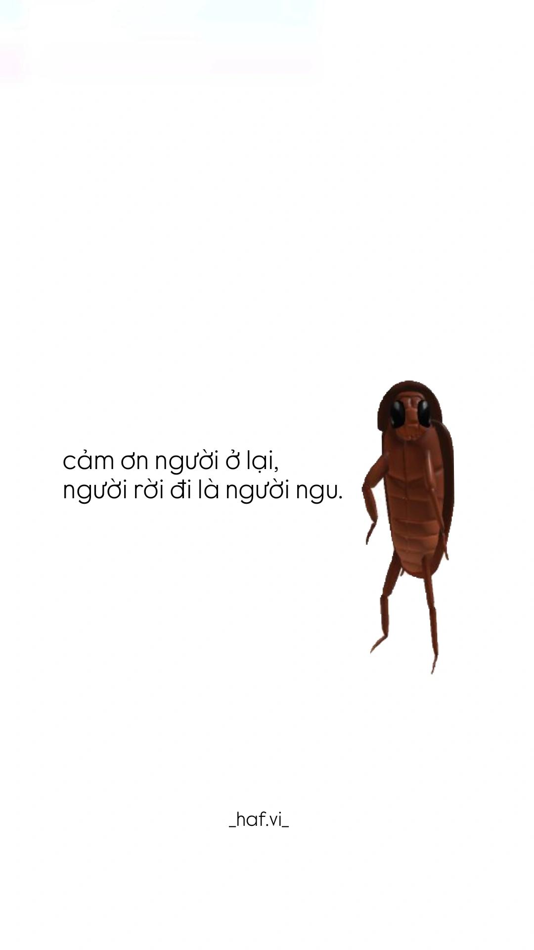 @vi
